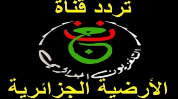 القناة المفتوحة.. تردد الجزائرية 1 لبث كأس الأمم الأفريقية 2025